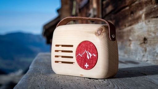 [19973..] Klangboxe Senn rot