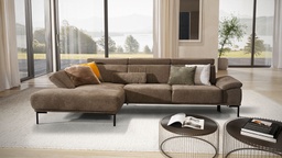 Sofa Family Trend 2